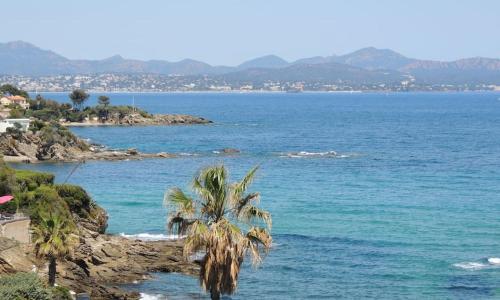 T3 Les Issambres vue mer. Vélos, paddles sur place
