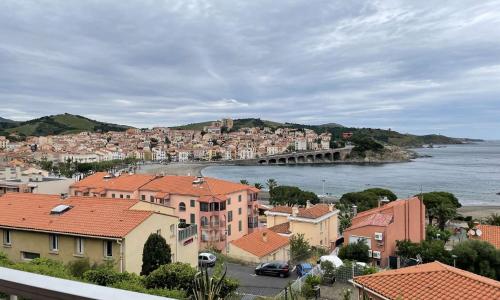 Appartement Banyuls-sur-Mer, 1 pièce, 3 personnes - FR-1-225C-104