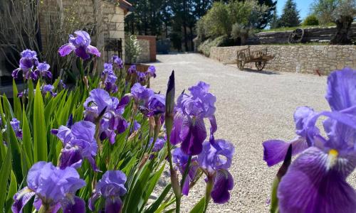 Le Relais de Campagne
