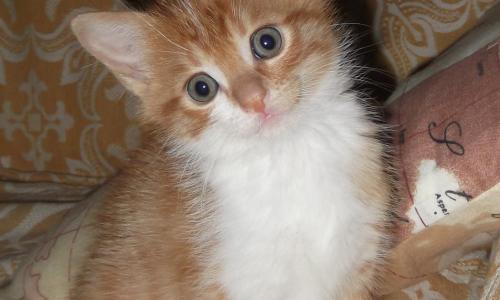 A Casa Di Mì Appartamenti vacanza