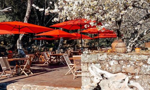 Auberge De La Foret Bonifatu