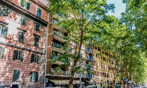 TRASTEVERE ALEXANDRO IL GLADIATORE
