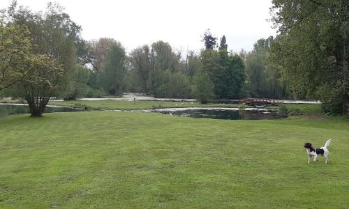 Adorable maison d’hôtes bordée d’étangs au calme.