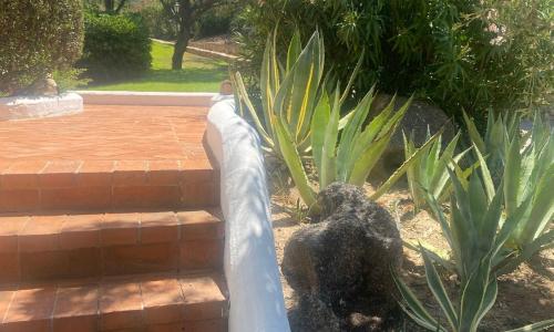 Residence Gli Oleandri 114