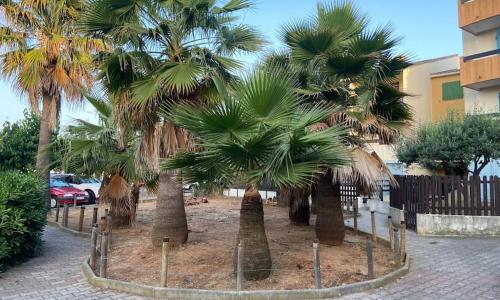 Camargue Village Sun and Beach #2