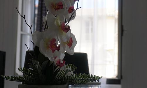 LE TELLY-centre ville-Petits Prix-Ideal pour rayonner sur la ville