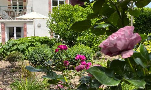 Gîte cosy sur jardin