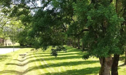 Cute 1-bed cottage with view across park.
