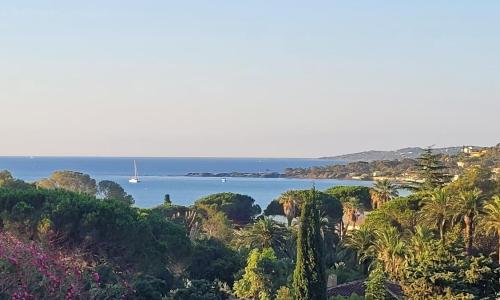 Larimar Etablissement- 200 M de la mer