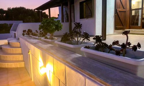 The Lux - Luxury Beach Apartments