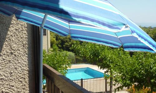 Grand Studio Avec Piscine Presqu'île De Giens