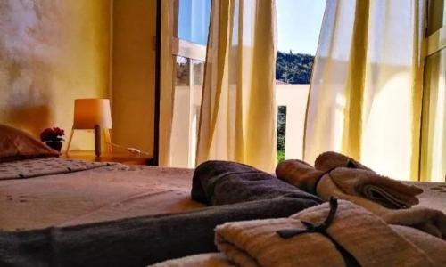 Punto Verde B&B