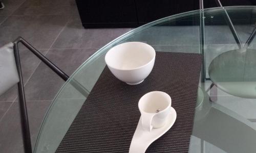 Epiphytes et succulentes