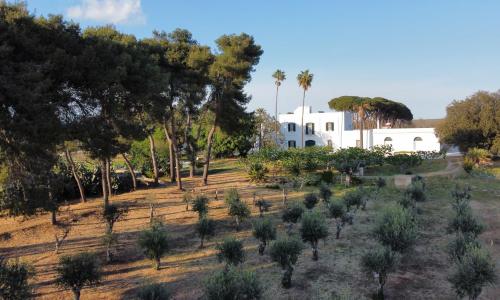 Masseria Filippo de Raho - Agri Bio Relais