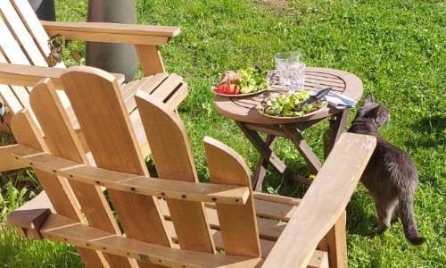 Bienvenue à La Grenouillère