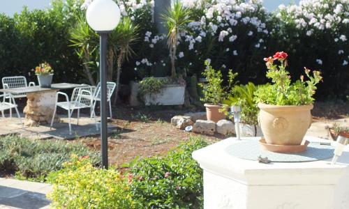 Villa Franca --sole-terra-mare--