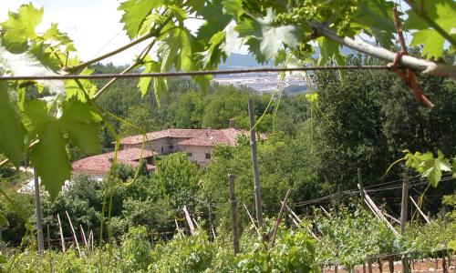 Agriturismo Ca' Verde