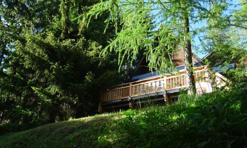Chalet La Foux d Allos centre Station