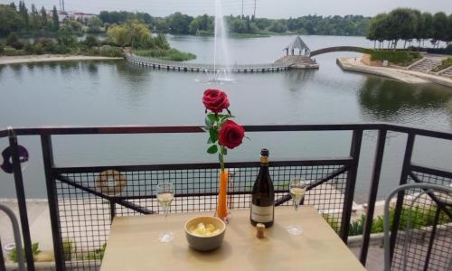 VUE EXCEPTIONNELLE SUR LE LAC