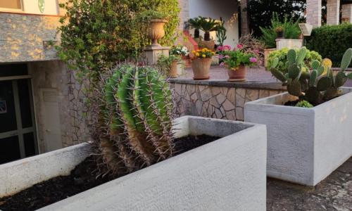 Contrada Macchia B&B