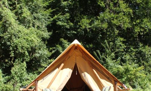 Chez Tombivouac