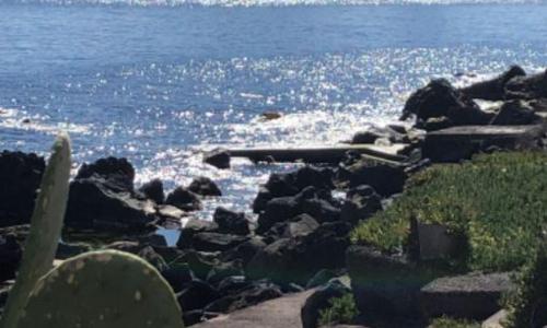 Monovano Luna ACI TREZZA