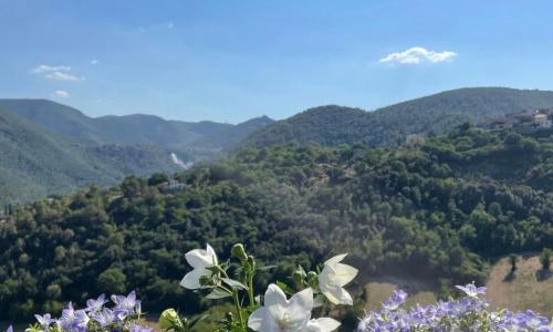 Casa sulla Cascata delle Marmore - con vista