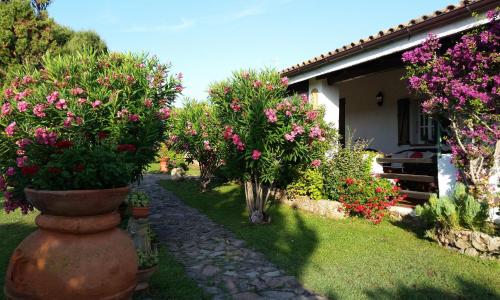 Villa La Liccia Misia