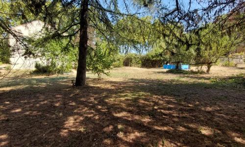 Maison sur 2000m² d'espace vert.