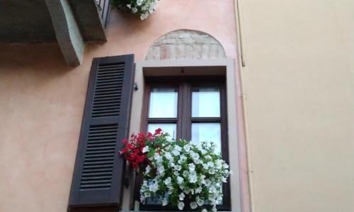 Holiday House Antica Dimora Soggiorni in langa centro storico La Morra