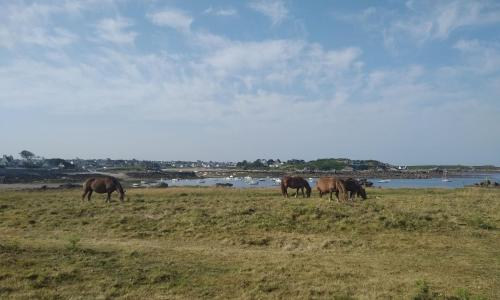 Studio 10 min à pied plage d'Argenton
