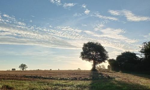 Au Mont & Merveilles