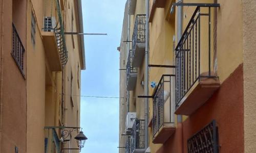 Du bonheur et du bon air à Banyuls !