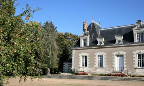 Gîte Monnaie, 4 pièces, 6 personnes - FR-1-381-128