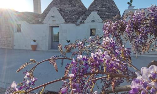 Trullo La chicca della valle