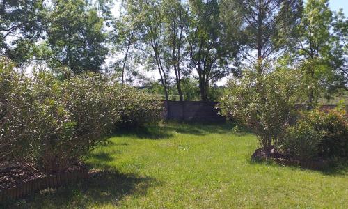 Maison entourée de vignes