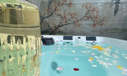 Domaine de Maeva Duplex