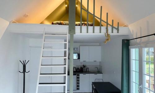 L’Amazonite - Etretat