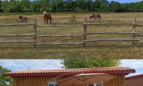 eco nature, gite à la ferme