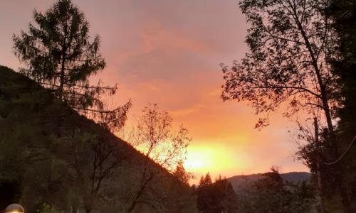 Soggiorno Vacanze Stella Alpina