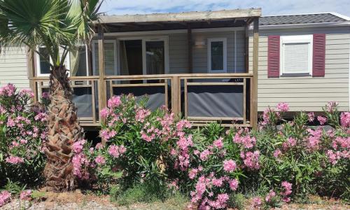 Mobil Home Palmiers 1