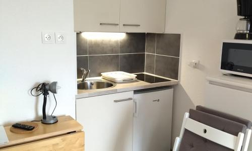 Appartement Les Adrets-Prapoutel, 1 pièce, 3 personnes - FR-1-557-116
