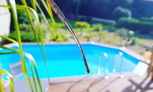 Le Vieux Moulin Gites - A charming stone cottage with garden view and seasonal pool