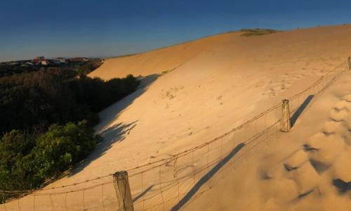 Appartement vu sur la dune à SEIGNOSSE