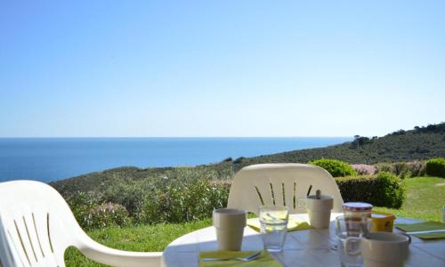 Appartement Banyuls-sur-Mer, 2 pièces, 4 personnes - FR-1-225C-488