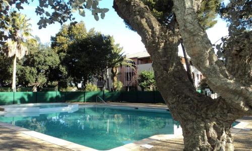 Appartement Saint-Aygulf, 1 pièce, 4 personnes - FR-1-226A-89