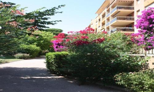 Appartement Hyères, 2 pièces, 4 personnes - FR-1-335-79