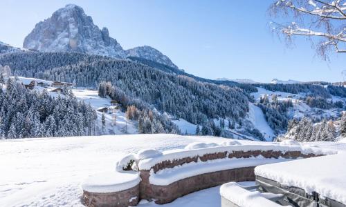 Chalet Villa Carolina