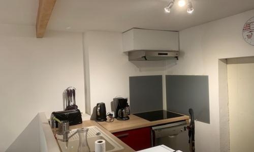 Appartement Mont-Dore, 2 pièces, 4 personnes - FR-1-415-128