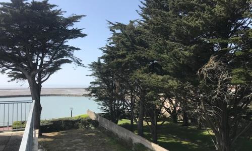 Appartement La Bernerie-en-Retz, 2 pièces, 4 personnes - FR-1-612-1